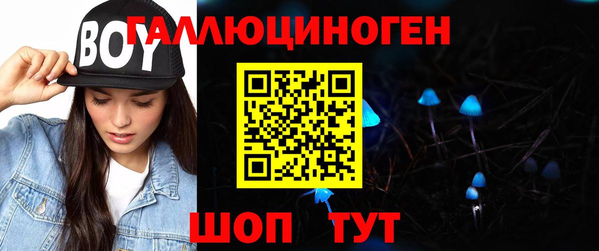 Заволжье  Галлюциногенные грибы мухоморы  Вход с VPN 
